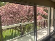 Appartement dans parc clos à deux pas du centre ville