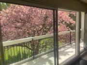 Appartement dans parc clos à deux pas du centre ville