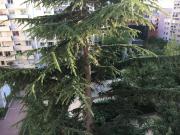 Appartement de 106m2 à louer sur Paris 15