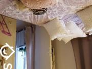 Appartement de 11m2