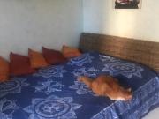Appartement de 12m2