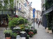 Appartement de 33m2 à louer sur Lille