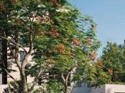 Appartement de 3 chambres de luxe en vente à...