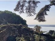 Appartement de 3 pièces de luxe en vente à Cannes,...