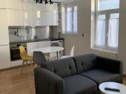 Appartement de 43m2 à louer sur Lille