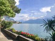 Appartement de 4,5 pièces avec grande terrasse privative...