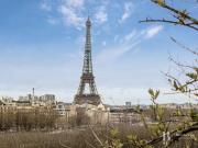 Appartement de luxe 3 chambres en location à Champs...