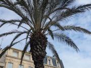 Appartement de 6 pièces de luxe en vente à Sète, France
