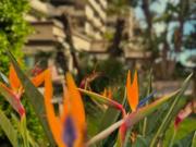 Appartement de luxe de 2 pièces en vente à Cannes,...