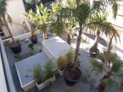 Appartement en résidence BEZIERS 34500 Réf. 340125232...