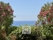 Appartement Lolita La Croix Valmer