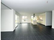 Appartement mansardé moderne avec terrasse spacieuse