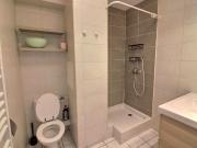 APPARTEMENT MEUBLE 1 CHAMBRE BALCON GRANGE BLANCHE LYON 8