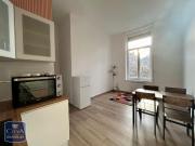 Appartement meublé 1 pièce 33 m²