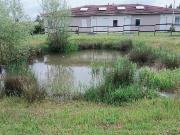 Appartement meublé 2 pièces 41 m²