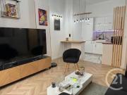 Appartement meublé 2 pièces 42 m²