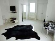 appartement meublé 60 m 2 2 pièces 1 chambre