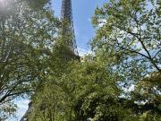 Appartement meublé 8 pièces 355 m²