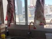 Appartement meublé à louer à Belvédère