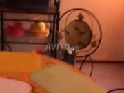 Appartement meublé à Marrakech quartier Massira 3