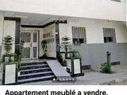 Appartement meuble a vendre