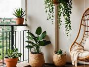 Appartement Montigny les cormeilles 3 pièces LE CLOS DES...