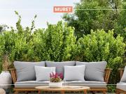 Appartement Muret 2 pièces CLOS D'ADÈLE