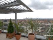Appartement neuf 5 pièces 124 m²