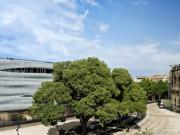 Appartement neuf T2 à Nîmes