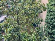 Appartement Paris 09 Cœur Saint Lazare