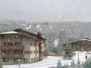 Appartement Praz sur Arly 4 pièces 1907