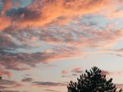 Appartement proche du Parc Bertrand avec balcon