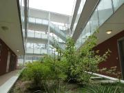 Appartement RDC 24,76 m2