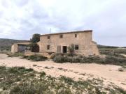 Appartement RDC 368 m2