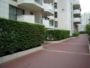 Appartement RDC 52,80 m2