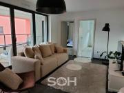 APPARTEMENT STRASBOURG DANUBE RIVE ETOILE 4 / 5 PIECES...
