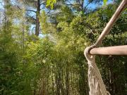 Appartement T2 à vendre Marseille 8e 13008 | Sainte Anne...