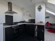 Appartement T2 Meuble 24.94m² 42,58m² Au Sol Ancenis...