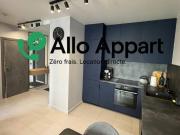 Appartement T2 meublé 32 m² – Lyon 1er rue Burdeau,...