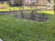 Appartement T3 Avenue de Royat