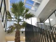 Appartement T3 en location à Toulouse