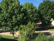 Appartement T4 rénové 80 m2, 3 chambres, garage,...