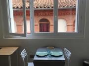 appartement toulouse 1 pièce s 21 m2