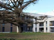 Appartement Toulouse 2 pièce s