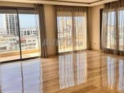 Appartement vide ou bien meublé à louer