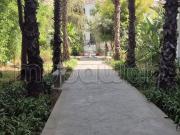 Appartements à louer à Marjane. 4 pièces confortables....