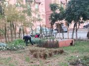 Appartements au centre de la ville
