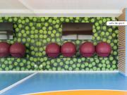 appartements étudiants à louer: paris 18