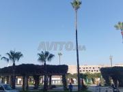 Appartements Meublés pour Couples, Directeurs,...