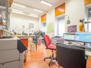 Appio Latino Negozio a reddito